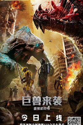 玉女私情 封面图